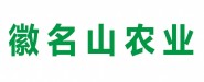ջɽrI(y)ɷ޹˾